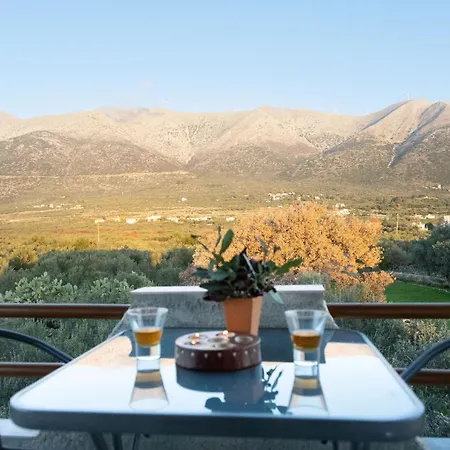 Mani Tigani View Apartamento